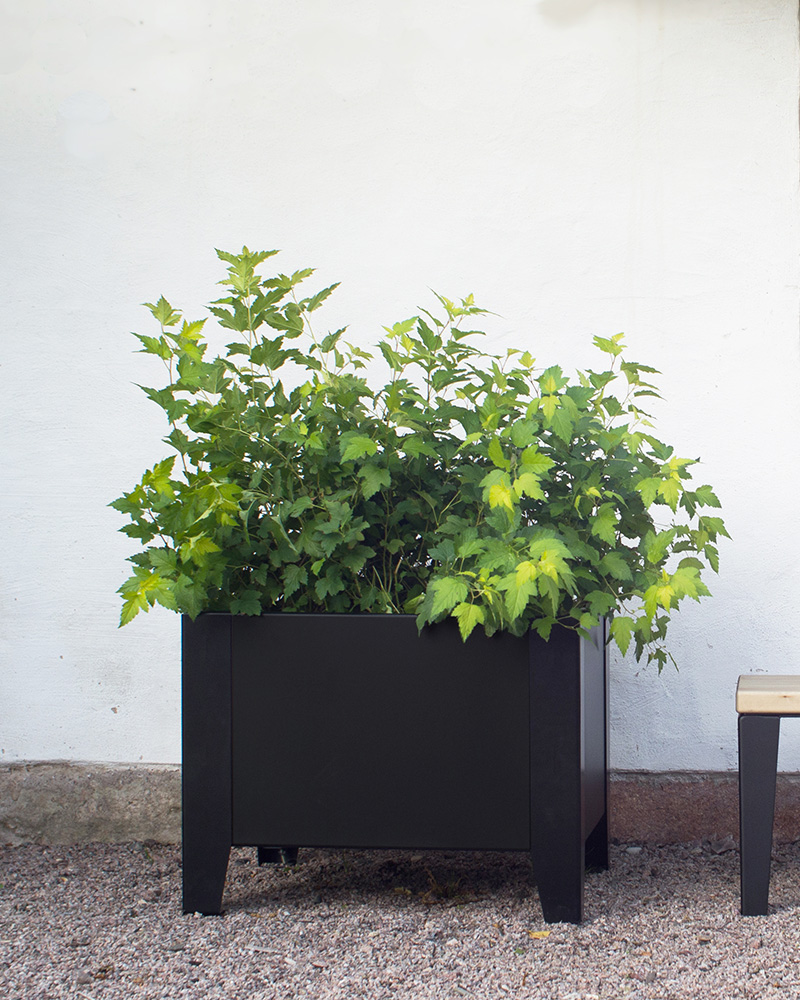 Flox planter.